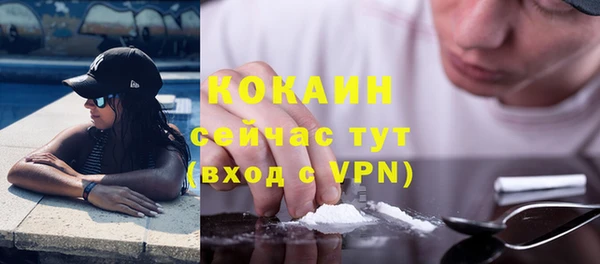 сатива Бронницы