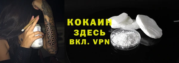 сатива Бронницы