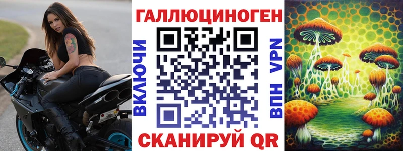 Галлюциногенные грибы GOLDEN TEACHER  Купить  Моздок 