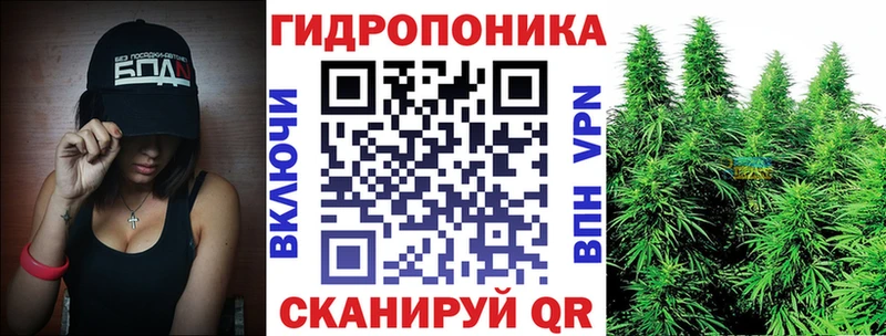 Конопля White Widow  Купить  Моздок 